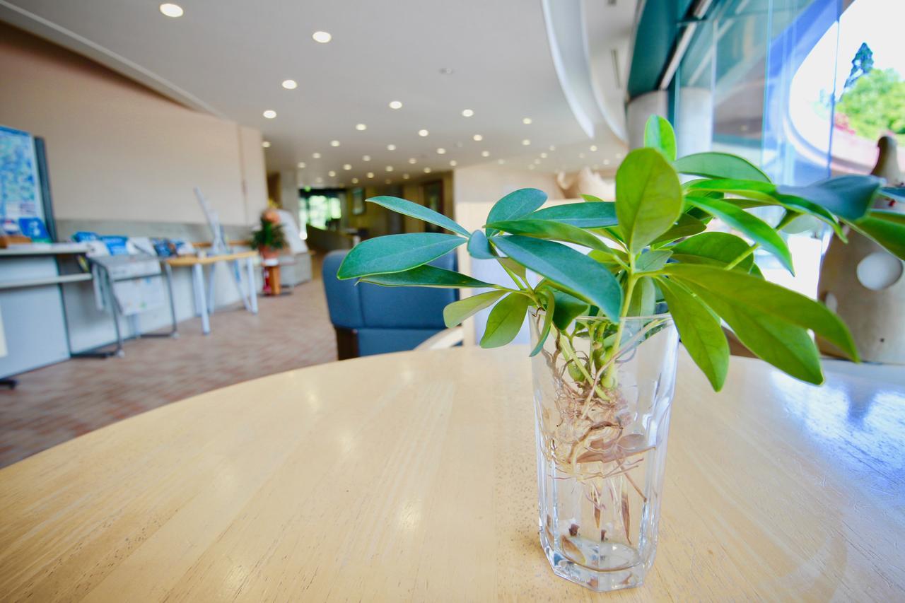 Mawaki Pole Pole Hotel Wajima Zewnętrze zdjęcie